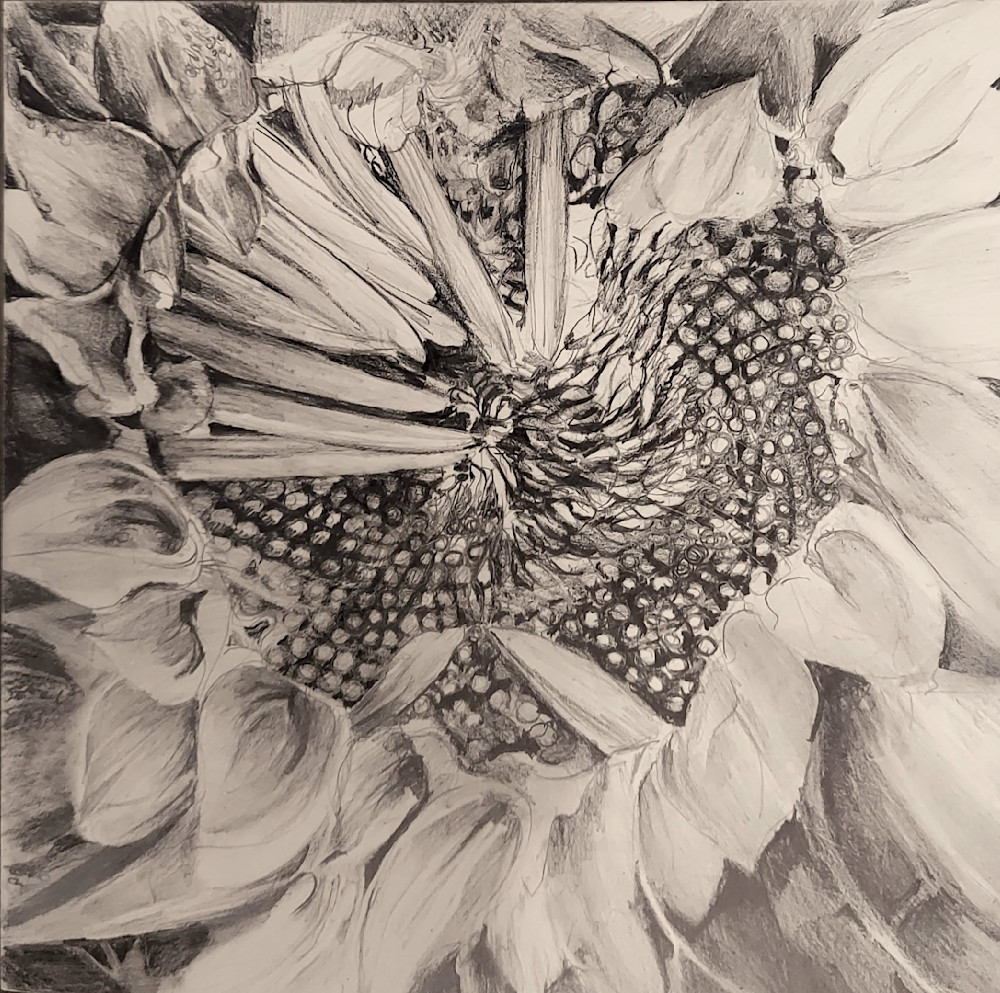 Sunflower 1 Art | https://www.instagram.com/janeskafte/