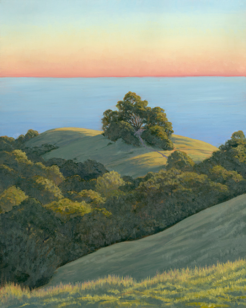 Green Hills And Oak From Mt. Tamalpais Art | Terry Sauve Fine Art 