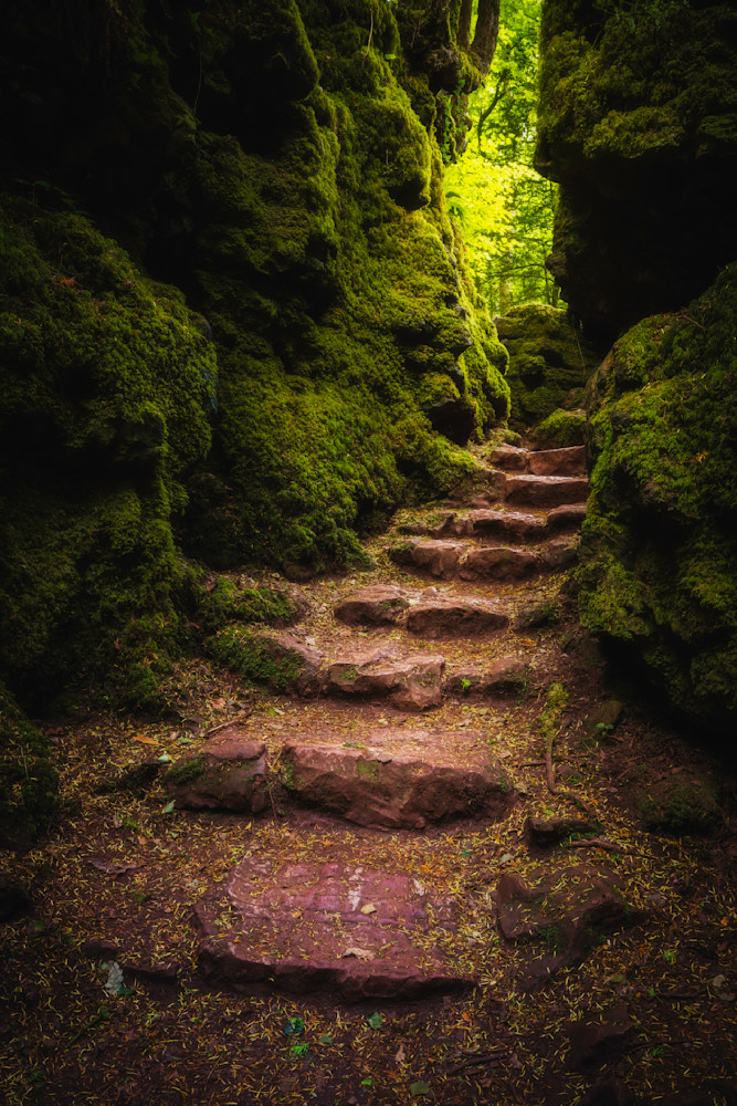 Fantasy Pathway Photography Art | Rich Vintage Photography