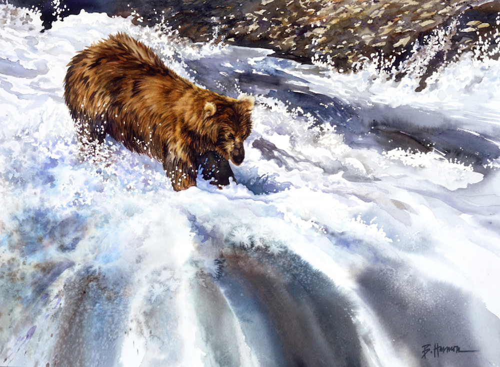 Grizzly Bear Kodiak Alaska