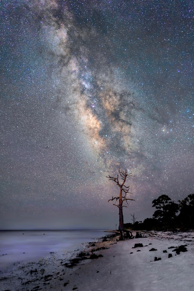 Lonely Sentine I Milky Way Photography Art | Distant Light Studio