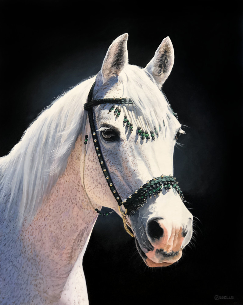 Princess Latoya Arabian Horse Painting Art Print by Artist Laara Cassells
