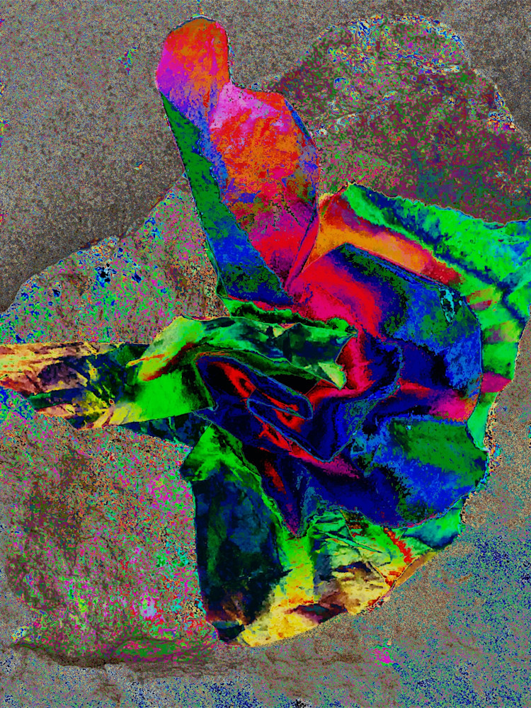 Img 3601 Art | Paula Acheson