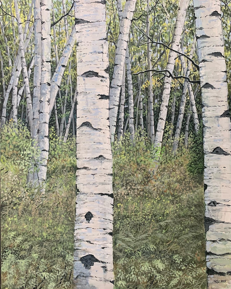 White Birch Woods Art | Skip Marsh Art