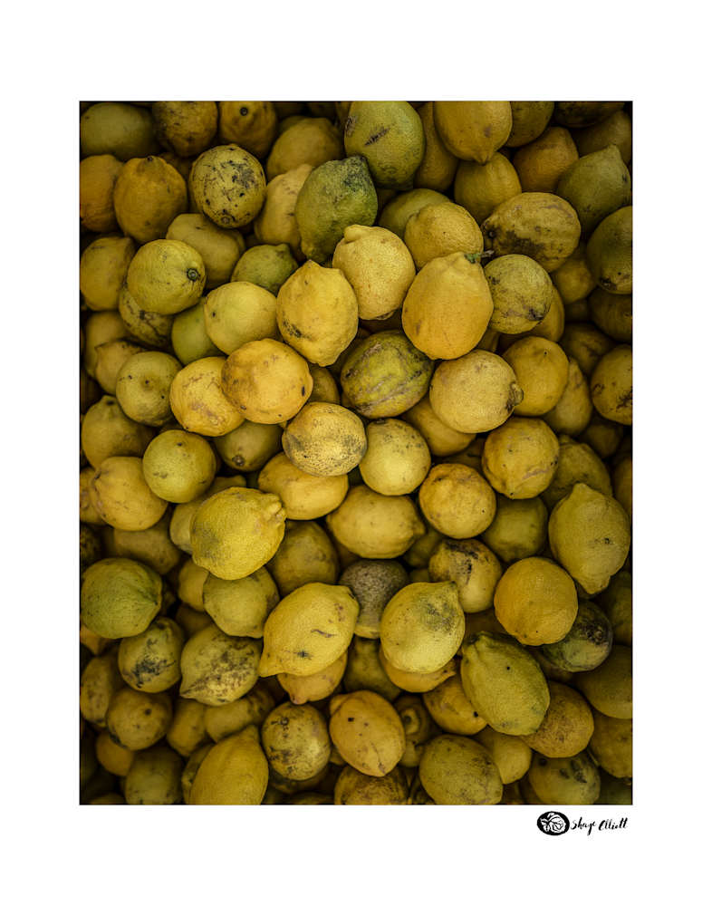 Sicilian Lemons Photography Art | The Elliott Homestead, Inc.