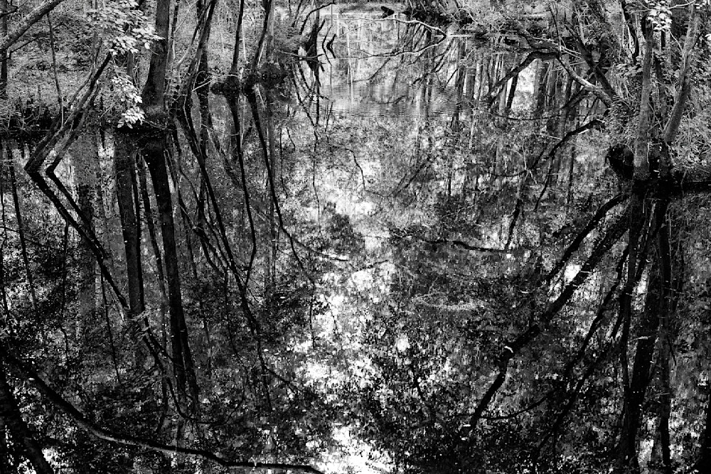 John E. Kelly Fine Art Photography – Swamp - Land and Sky