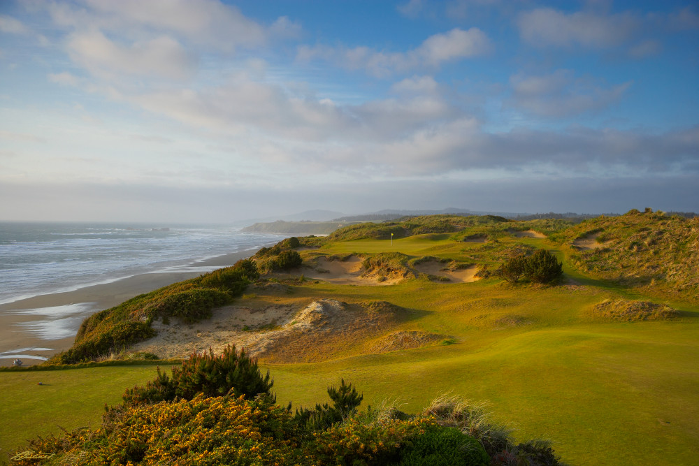 Pacific Dunes #11