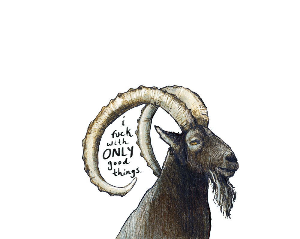 Art Prints of Wildlife