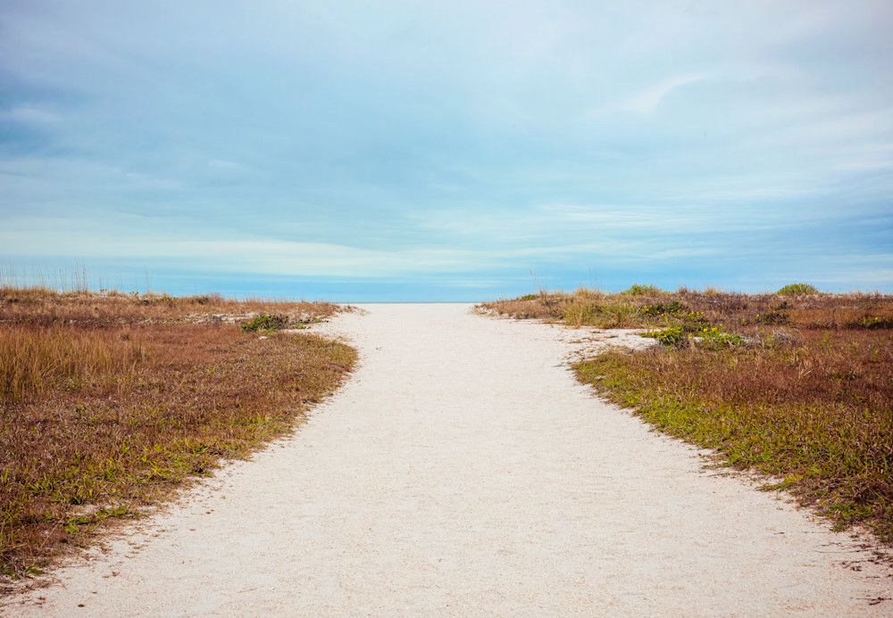 Path To The Beach Photography Art | Kelly Foreman Photography
