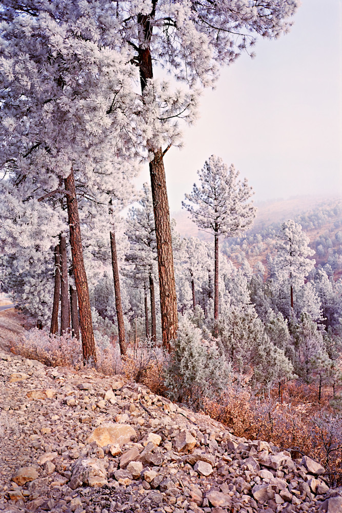 Film photography of New Mexico Winter mountain scene in morning sun