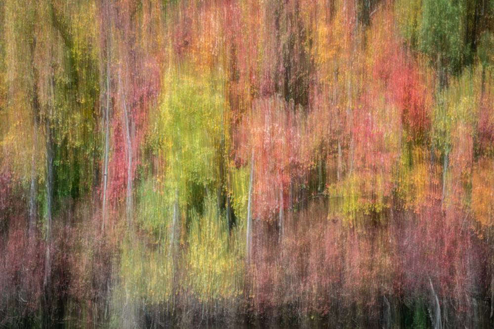 Fall Color 9 Photography Art | Mario Cornacchione