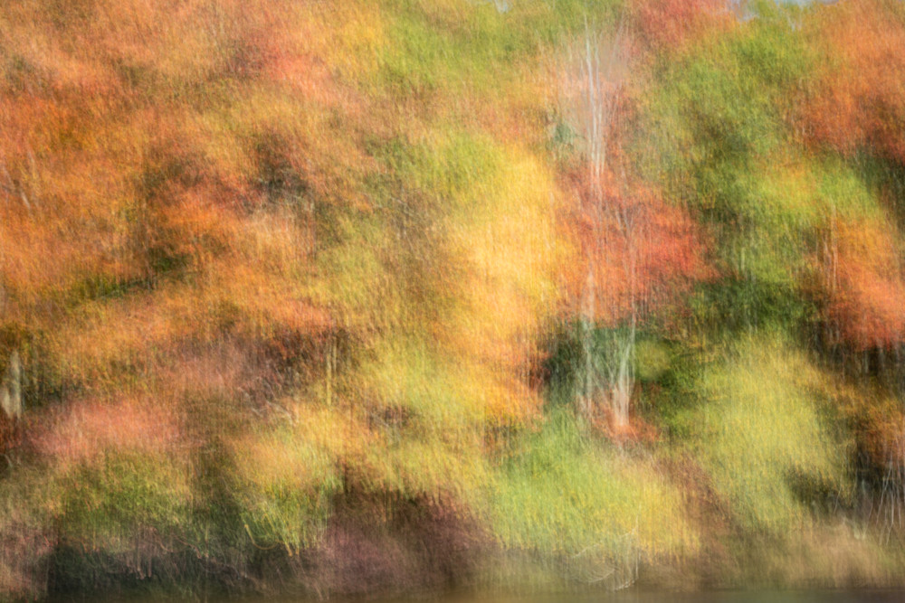 Fall Color 8 Photography Art | Mario Cornacchione