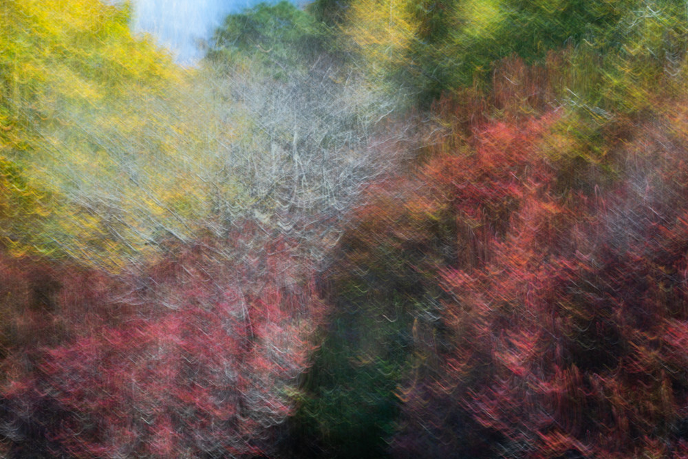 Fall Color 2 Photography Art | Mario Cornacchione