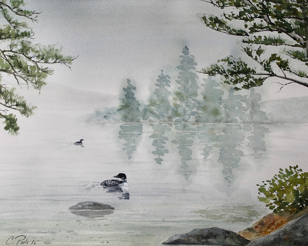 Loons In Our Midst  Art | Cate Poole Water Colors