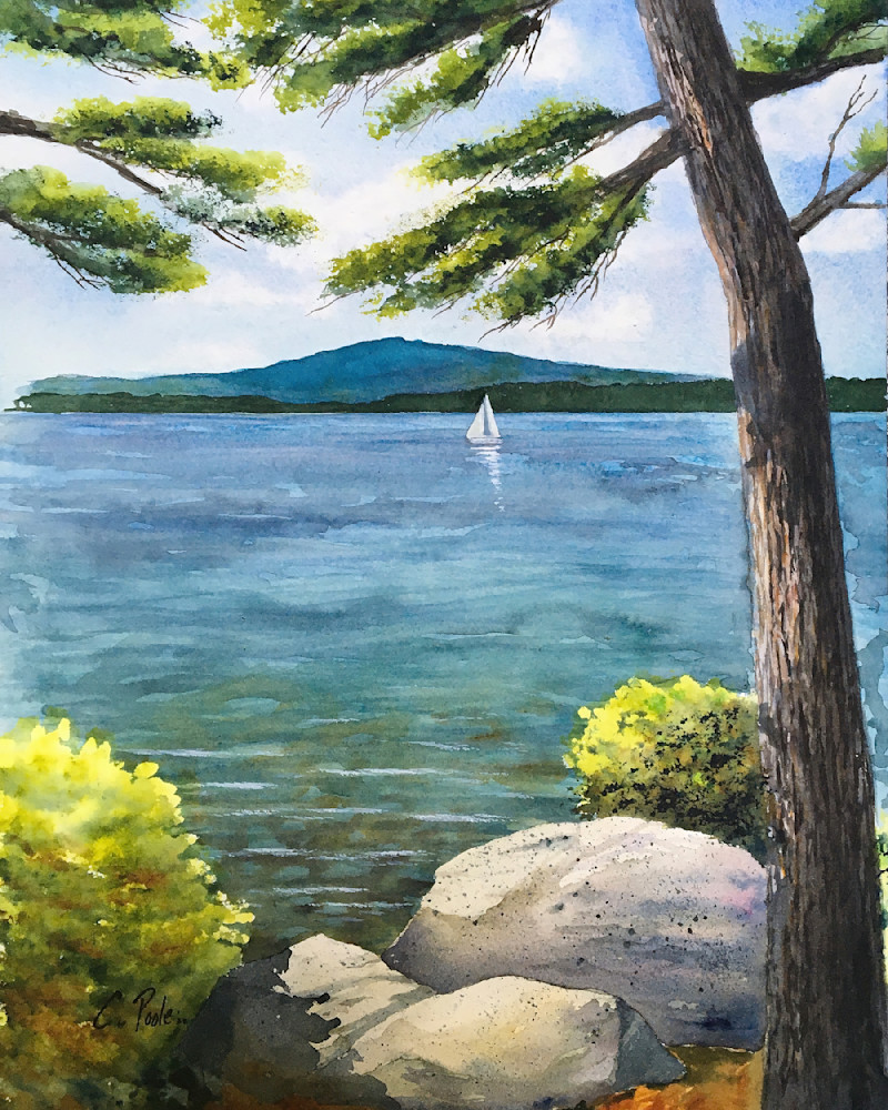 Lake Wentworth  Art | Cate Poole Water Colors