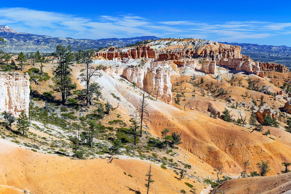 Tco   Bryce Canyon Splendor Art | Open Range Images