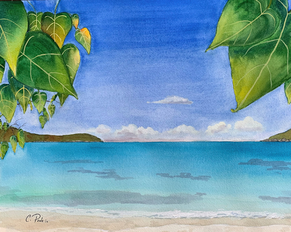 View From My Chair  Art | Cate Poole Water Colors
