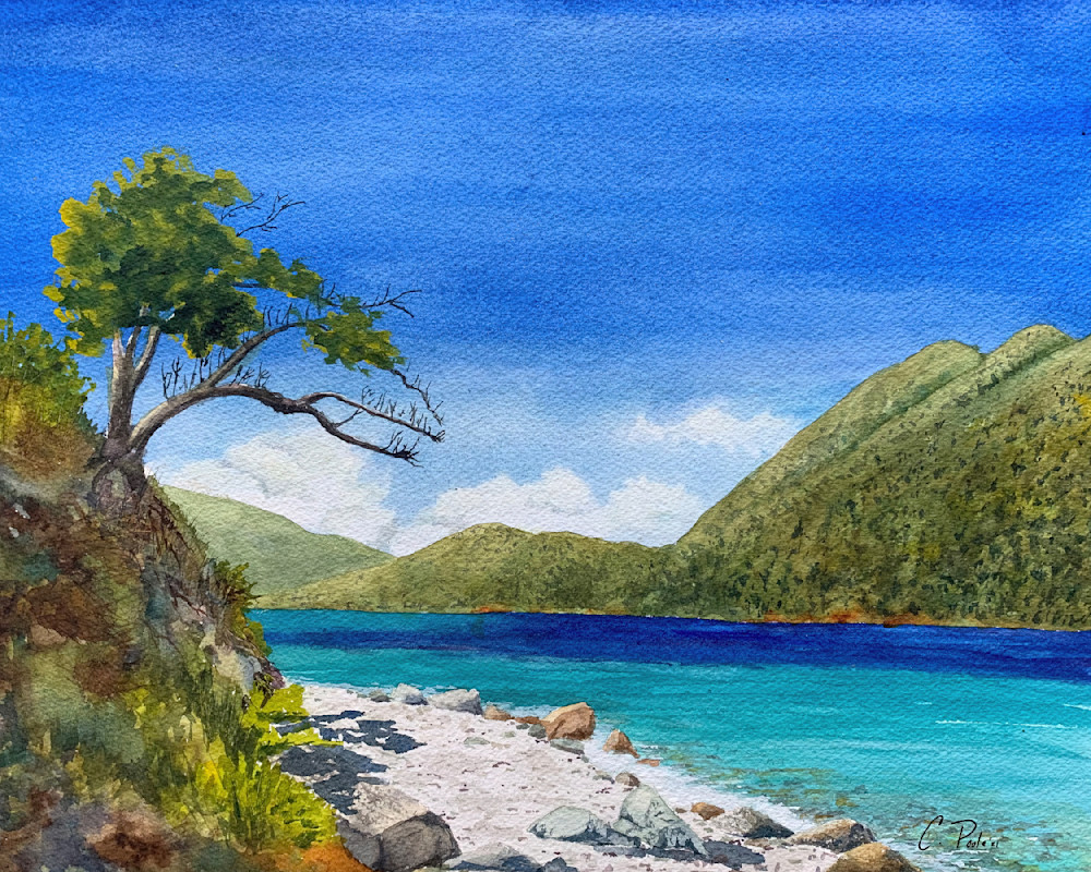 Lienster Bay Trail  Art | Cate Poole Water Colors