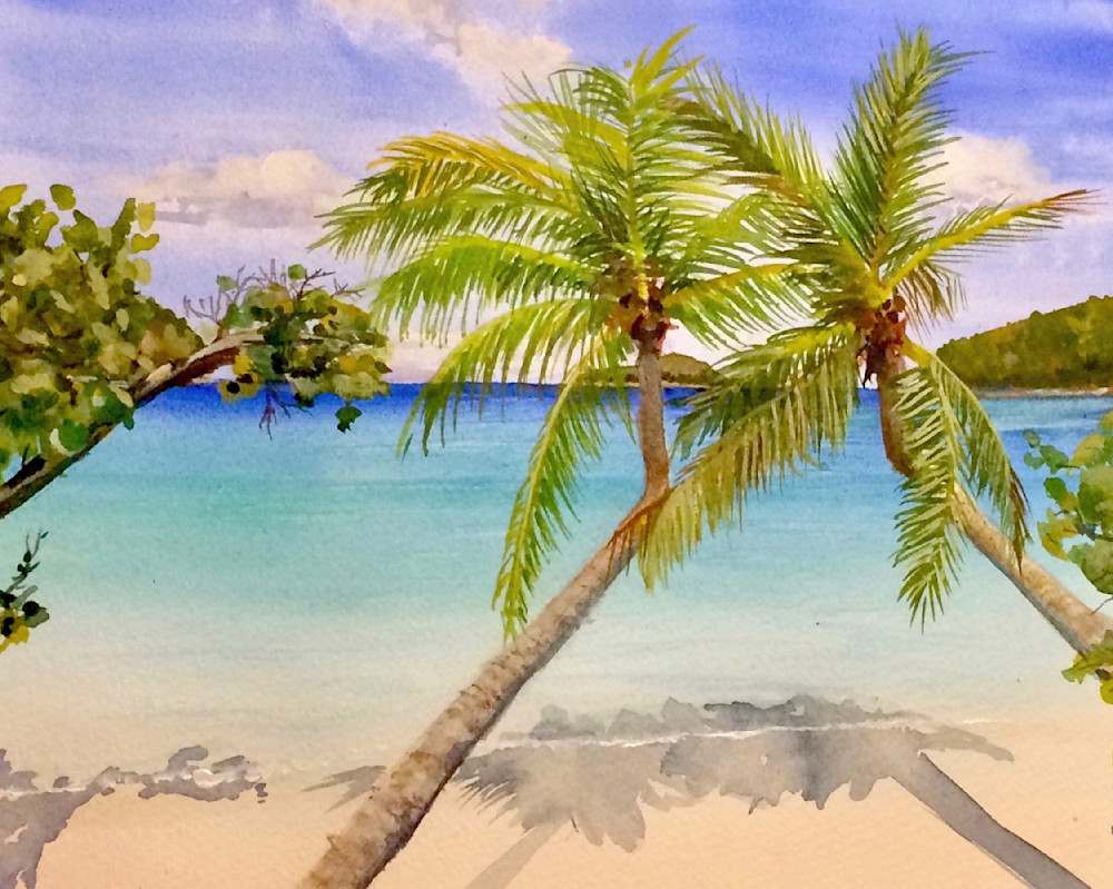 Maho Palms  Art | Cate Poole Water Colors