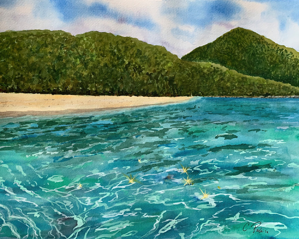 Island Gleam  Art | Cate Poole Water Colors