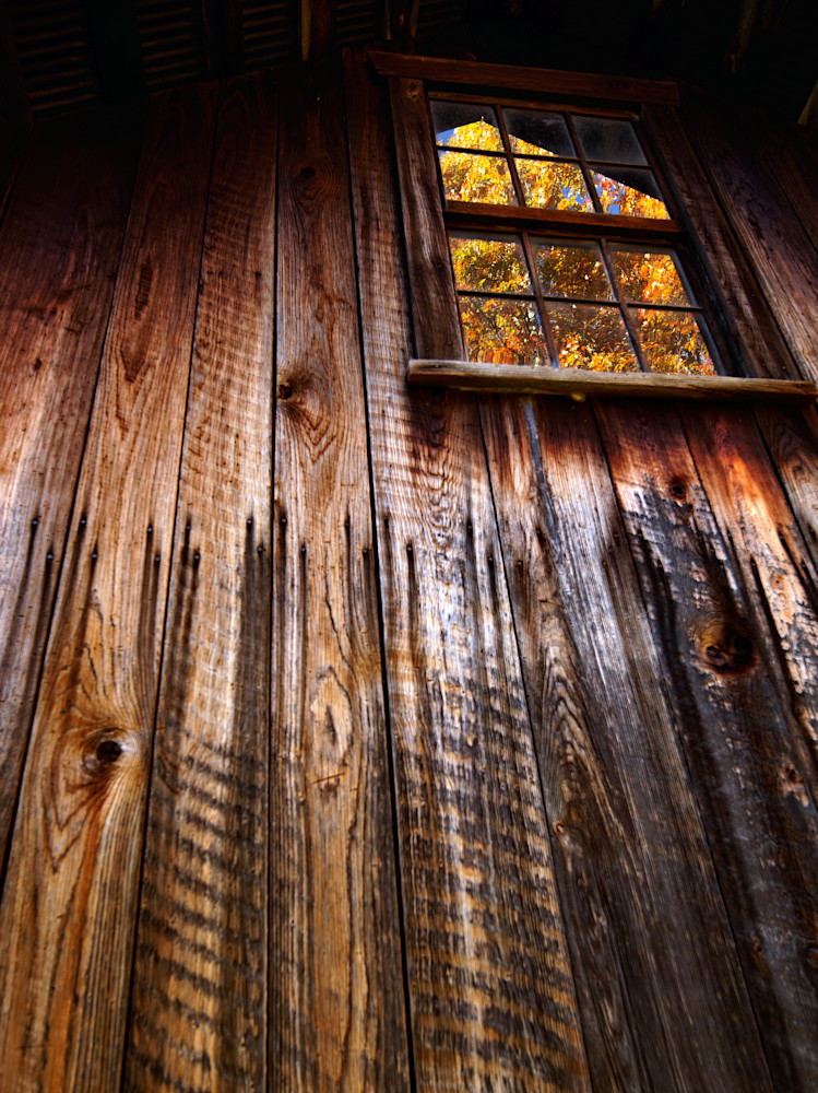 Fall Window Photography Art | First Light
