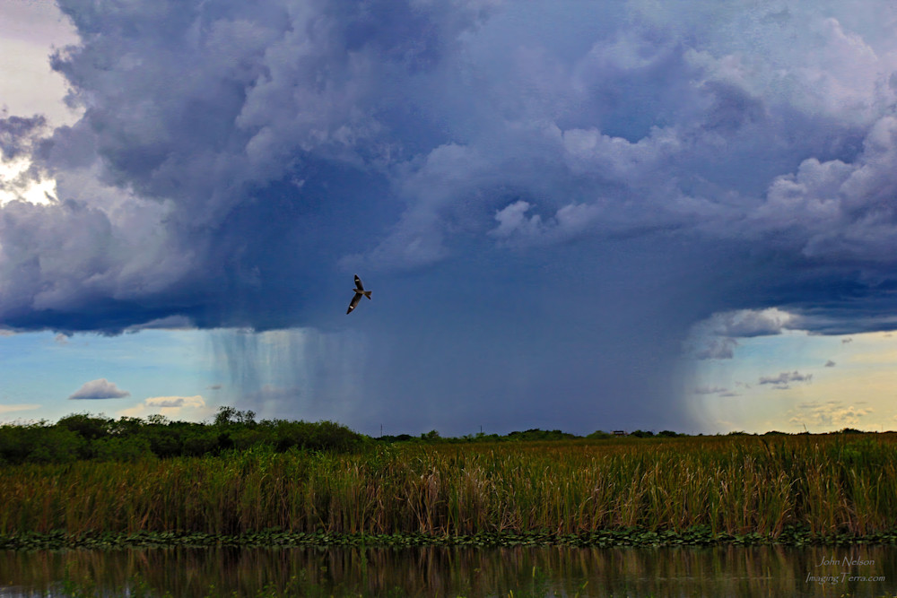 Nighthawk Hunting Storm Approaching Photography Art | johnnelson