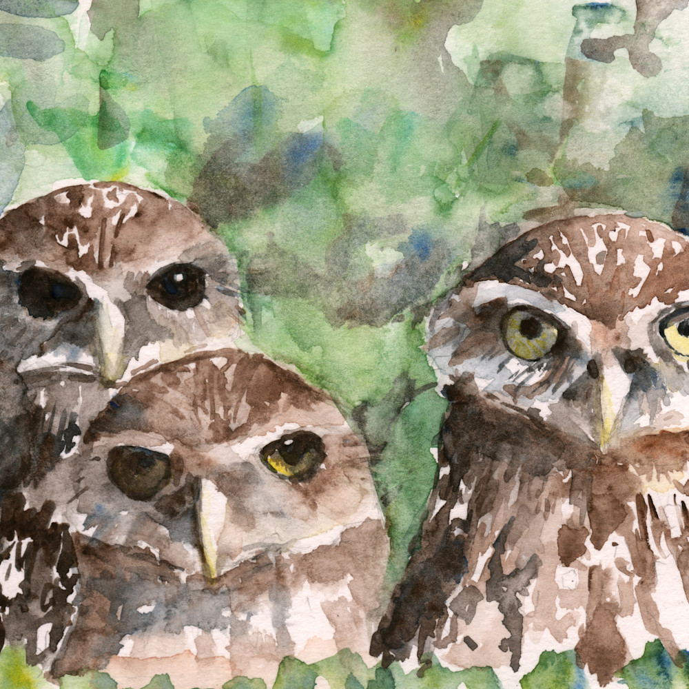 Burrowing Owls Printed Tote Bag | Claudia Hafner Watercolor