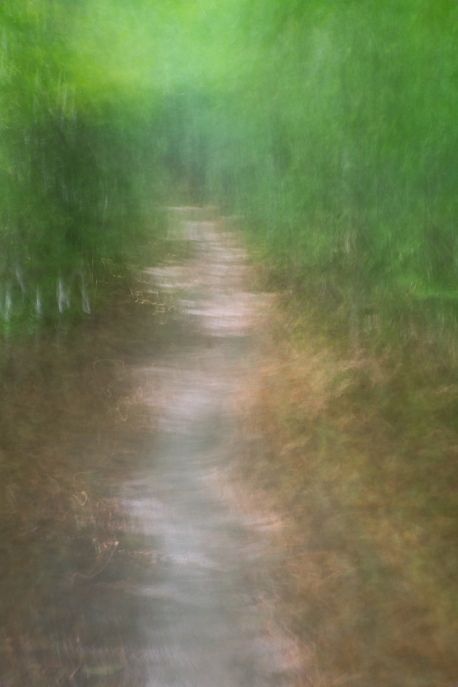 Down Your Path | Abstract Outdoors