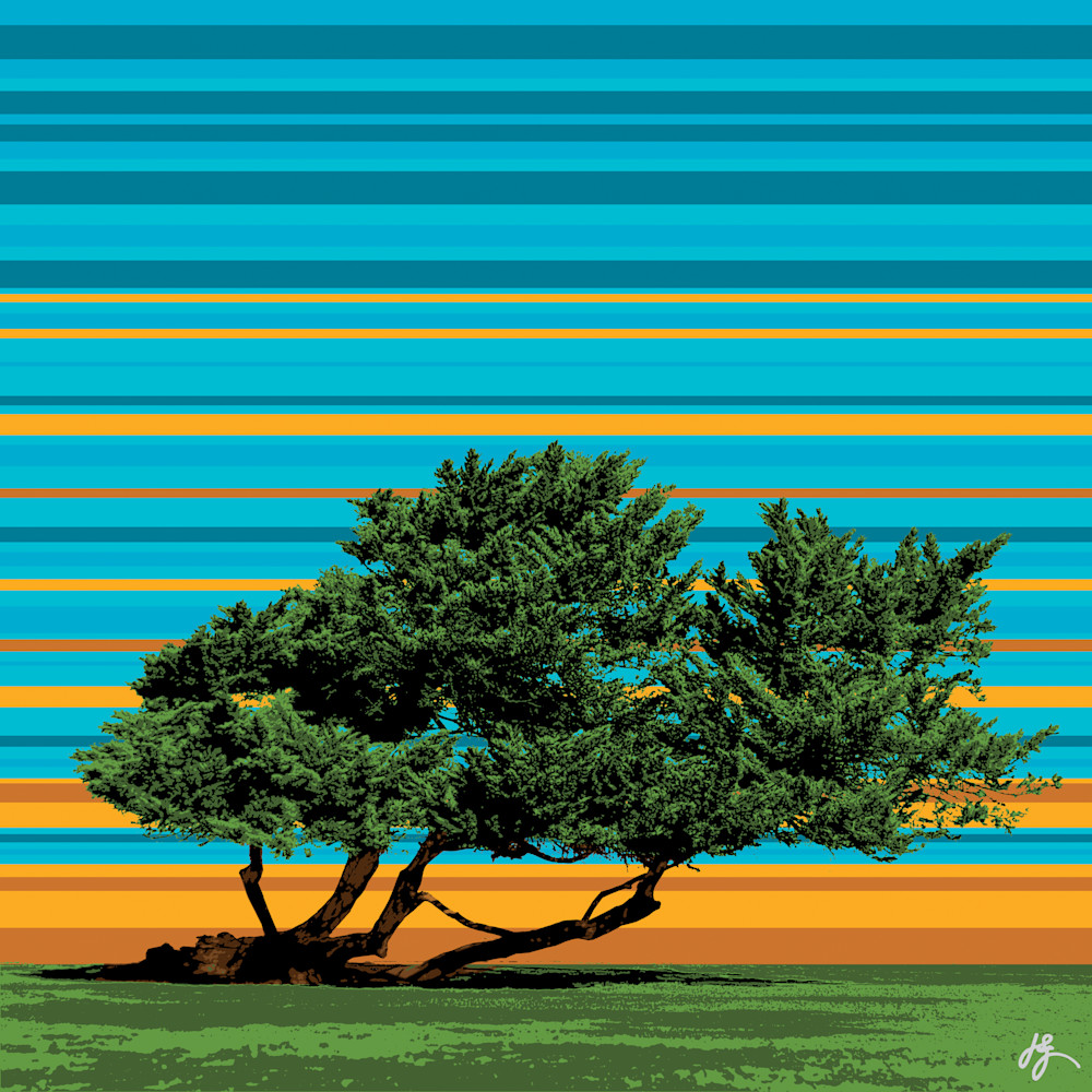 Iconic Cypress Tree Art | Jon Savage Contemporary Art