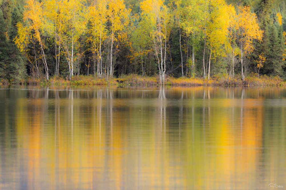 Fall foliage and reflection on lake.