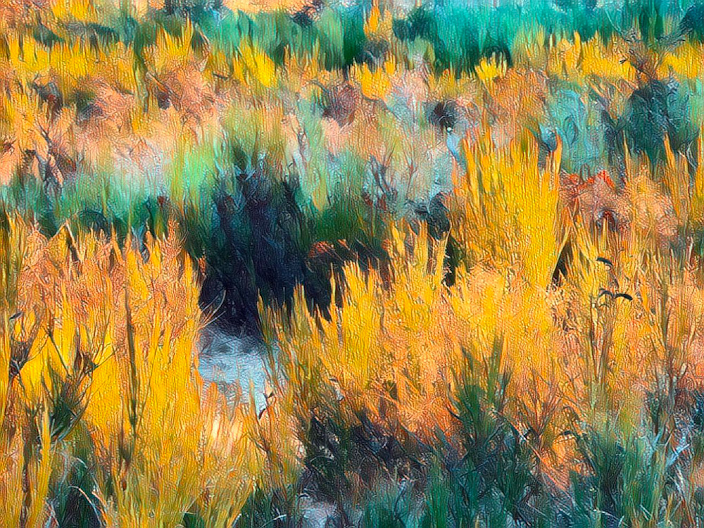 Autumn Grasses  Art | Dave Fox Studios