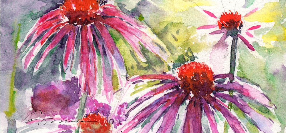 Coneflowers In Warm Hues Art | Claudia Hafner Watercolor