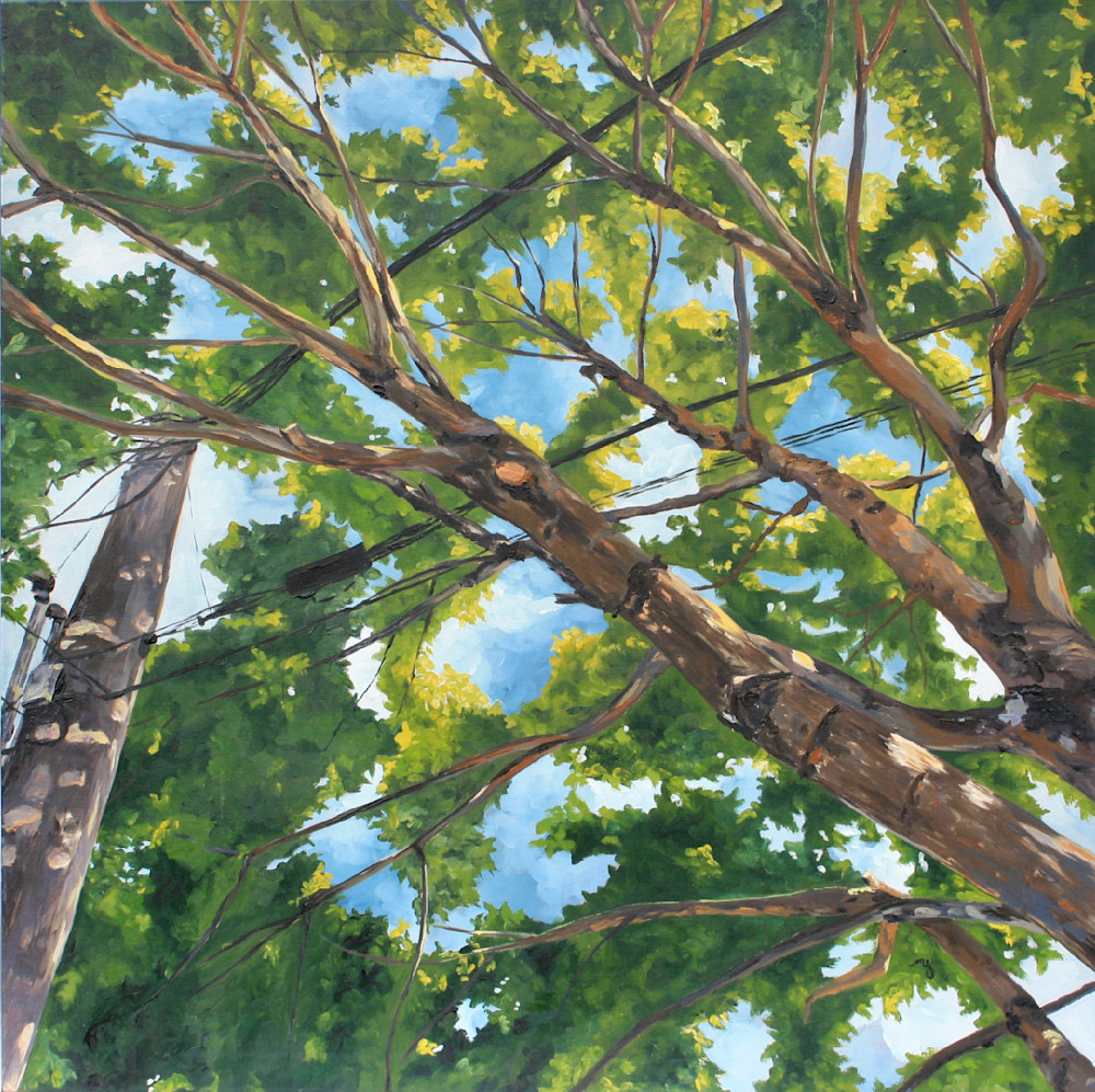 Look Up, Laurelhurst Art | Canopy Art Studio