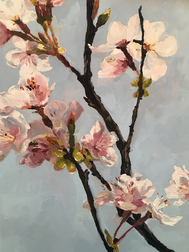 Apple Blossoms Art | Canopy Art Studio
