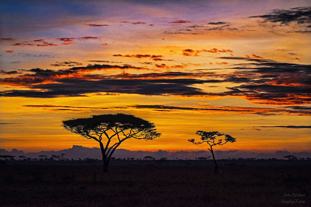 Serengeti Sunrise Photography Art | johnnelson
