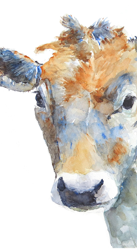 Cow Art | Claudia Hafner Watercolor