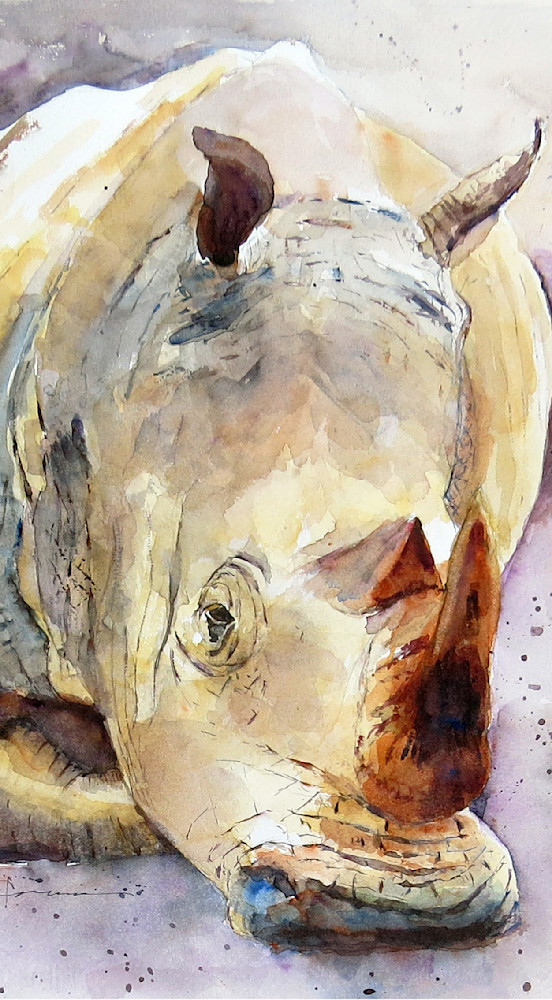 Rhino Art | Claudia Hafner Watercolor