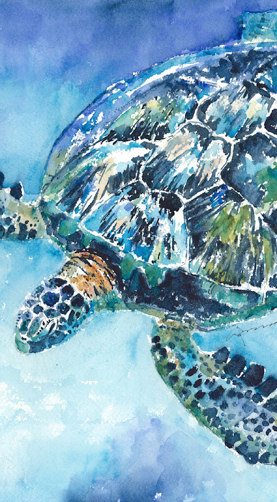 Sea Turtle 21 Art | Claudia Hafner Watercolor