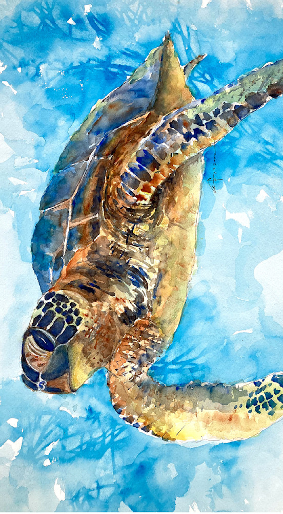 Sea Turtle 33 Art | Claudia Hafner Watercolor