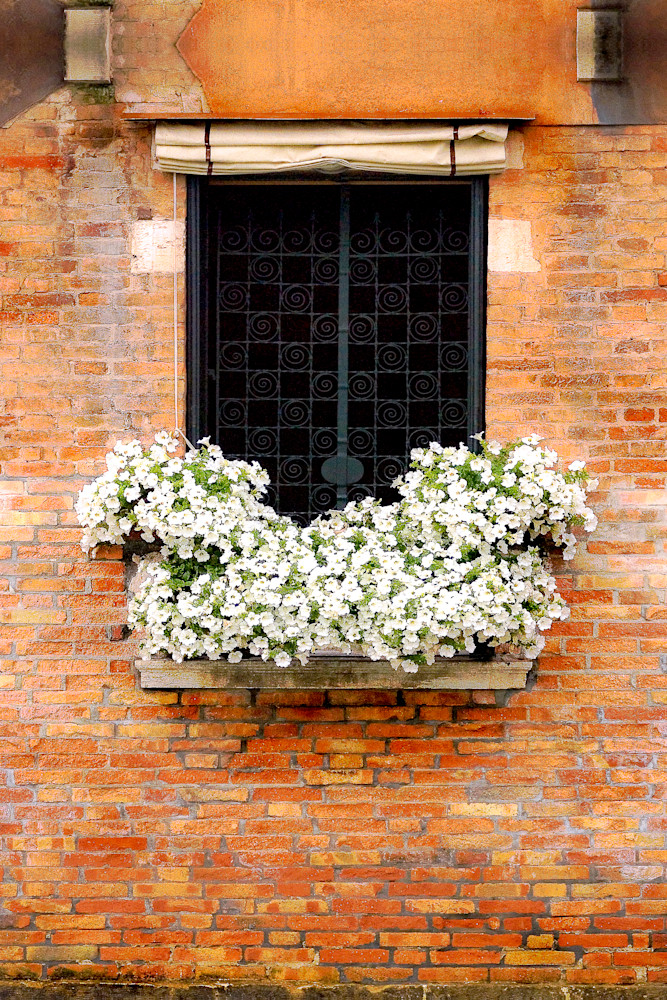 Windows Of Venice Photography Art | Zsuzsanna Luciano