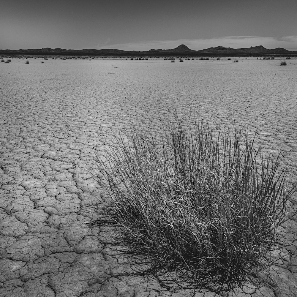 A Monochrome Tale Of Drought   1 Art | FOTO BAZAAR