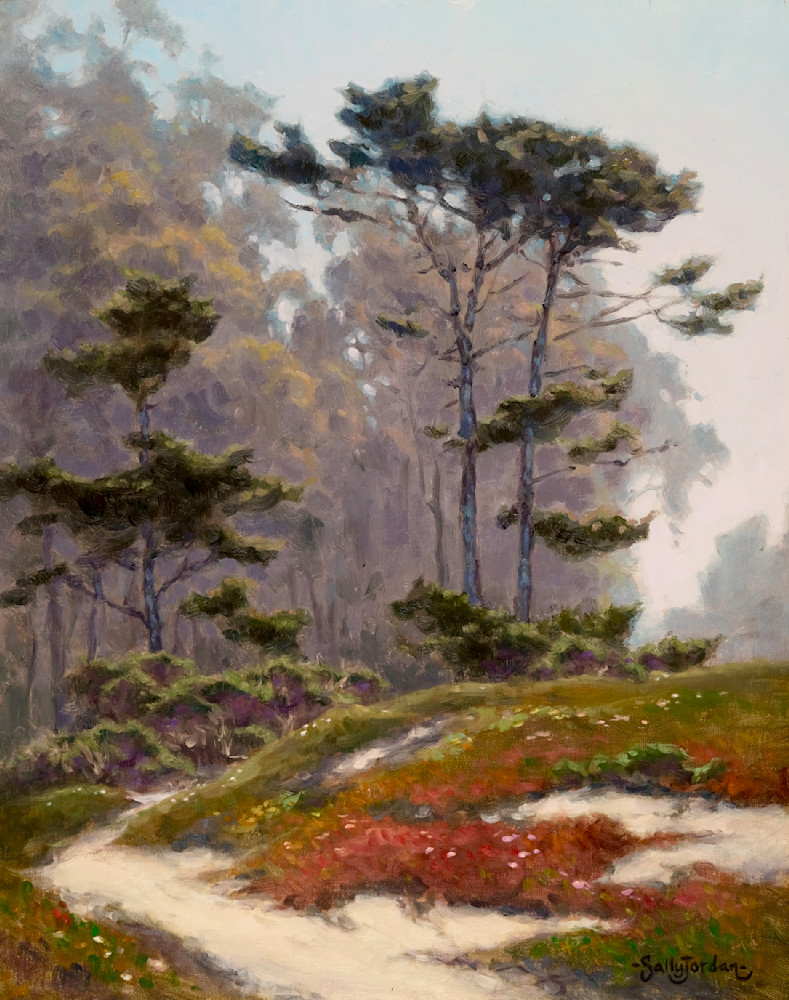 Carmel Sand and Sentinels