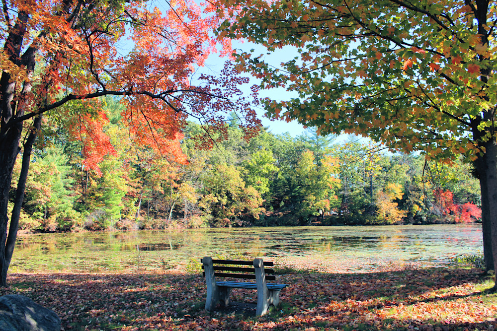Fall2021 Grafton Lake Park Bench2 Etsy Size Photography Art | PixByNic Photography LLC