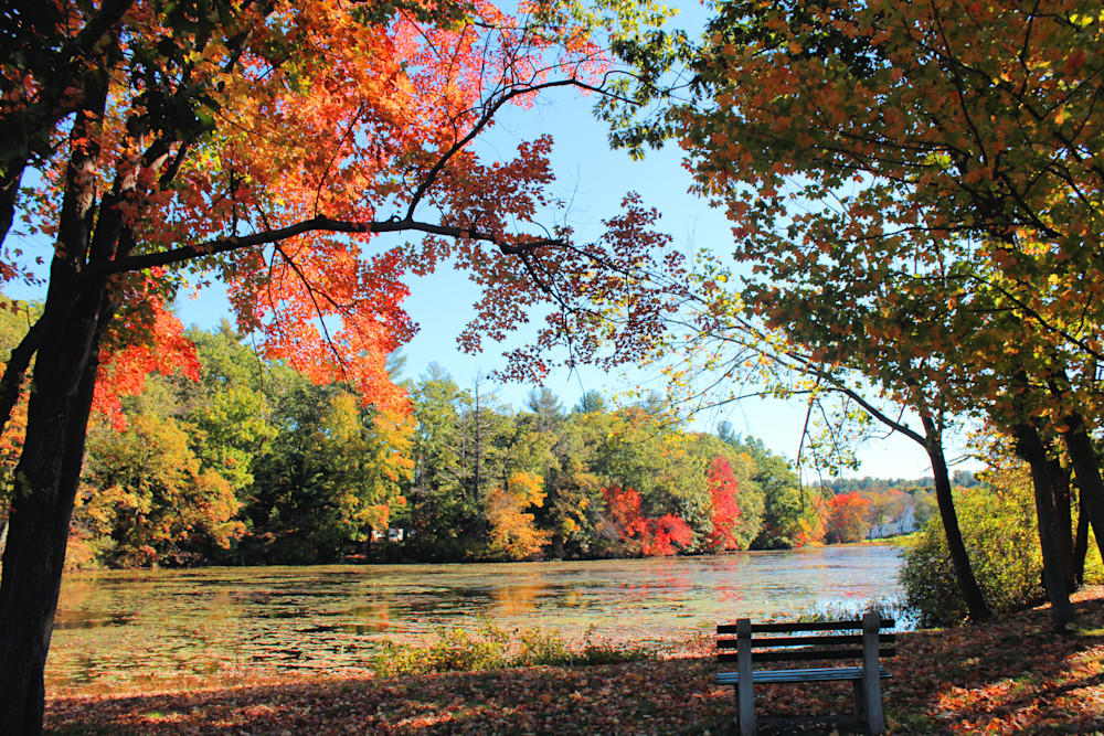 Fall2021 Grafton Lake Park Bench3 Etsy Size Photography Art | PixByNic Photography LLC