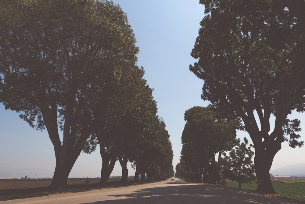 Steinbeck Way Photography Art | ng photography