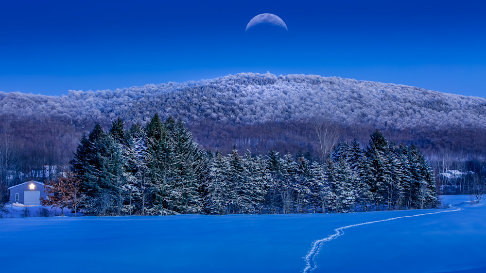 Blue Hour At The Pines Photography Art | Francois De Melogue