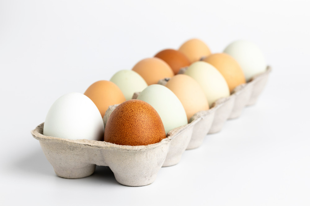 Eggs From The Farm Photography Art | Francois De Melogue