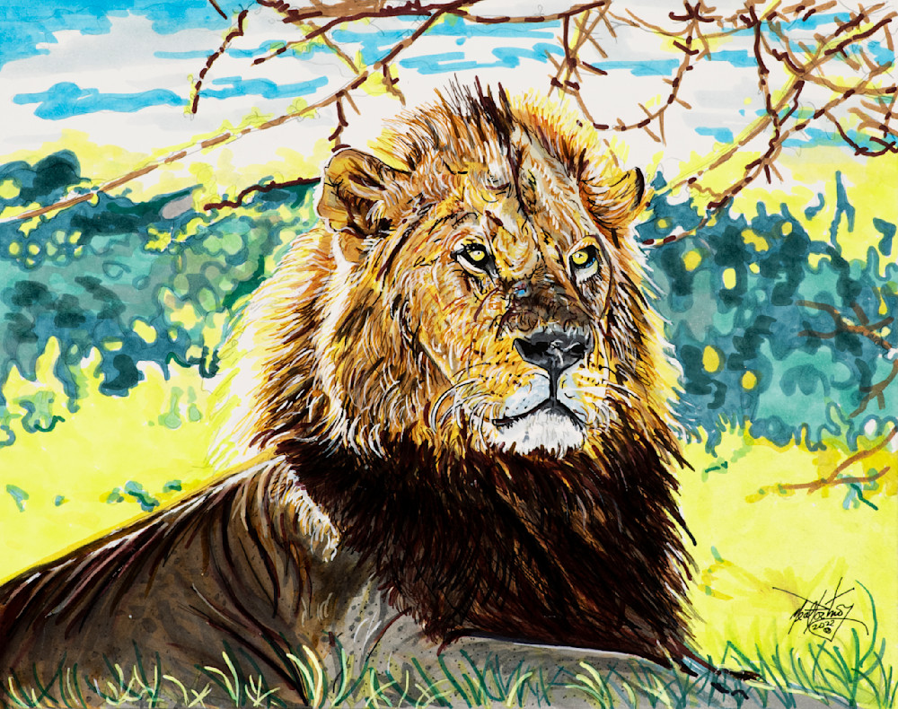 Lion King Art | portnoygallery