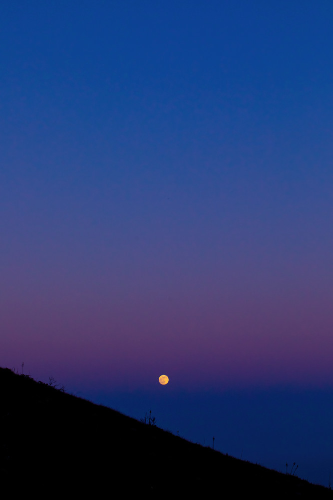 Blue Moonrise Over Malibu Ii Photography Art | Holly Parker LLC