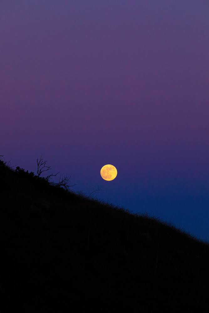 Blue Moonrise Over Malibu Iii Photography Art | Holly Parker LLC